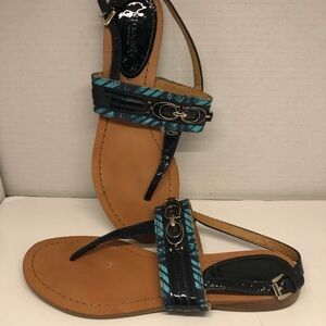 Coach Sammy Turquoise and Blue Zebra Print Thong Strappy Sandals Size 7.5 B